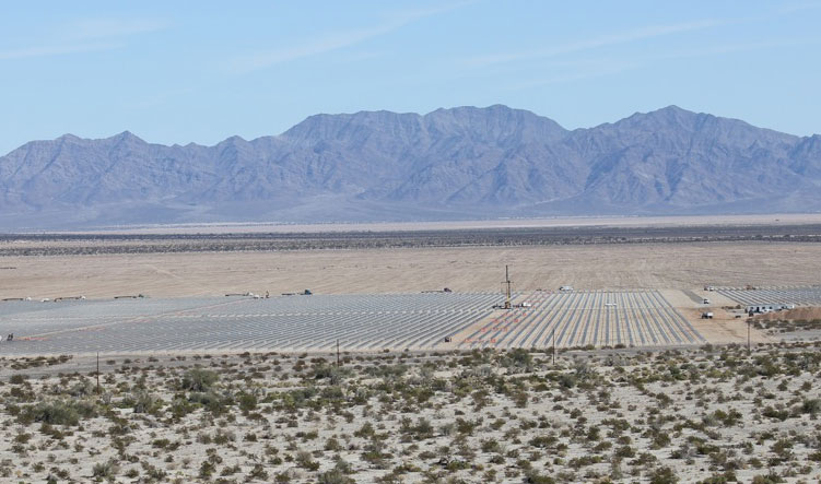 Desert Sunlight